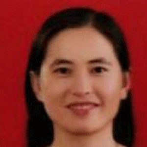 蔺冬菊
