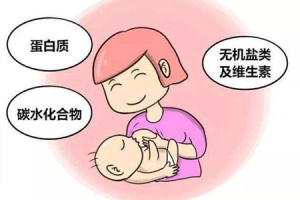 催乳激素(PRL)