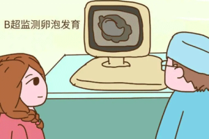 窦卵泡计数(AFC)