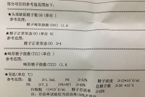 精液常规检查