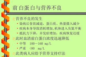 前白蛋白