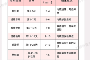 子宫内膜厚度