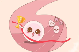 促排卵方案