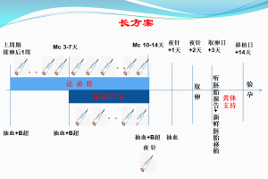 拮抗剂促排卵方案