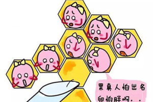 试管降调节