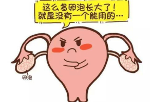 卵子质量