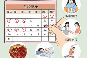 月经周期