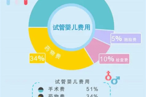 试管婴儿包成功