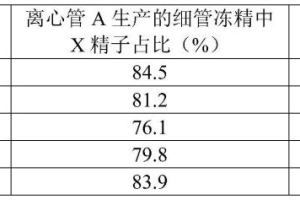 Y精子分离术