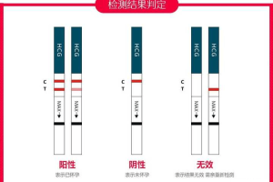 怀孕多久可以测出来