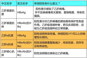 乙肝五项指标
