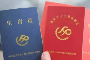 准生证